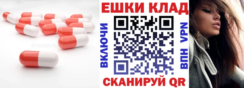 Ecstasy Philipp Plein  Купить где  Ленинск-Кузнецкий 