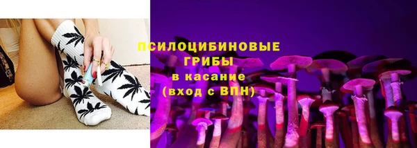 дживик Беломорск