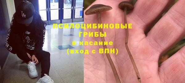 дживик Беломорск