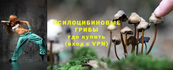 прущий лед Белоозёрский