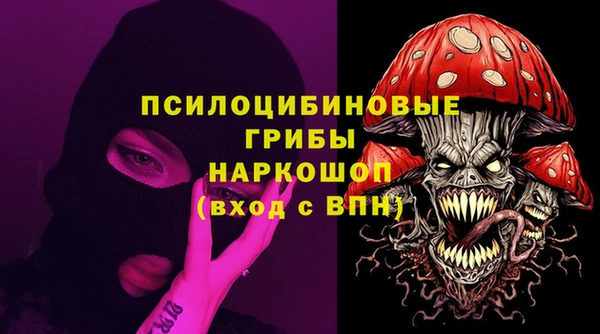 мдпв Белокуриха