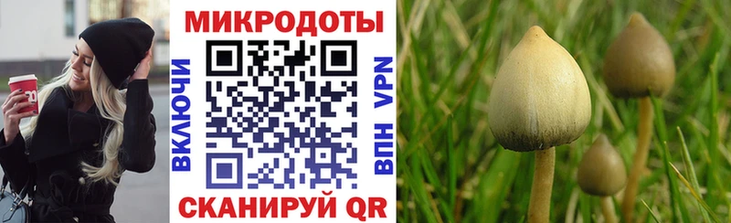 Галлюциногенные грибы ЛСД  Купить  Ленинск-Кузнецкий 